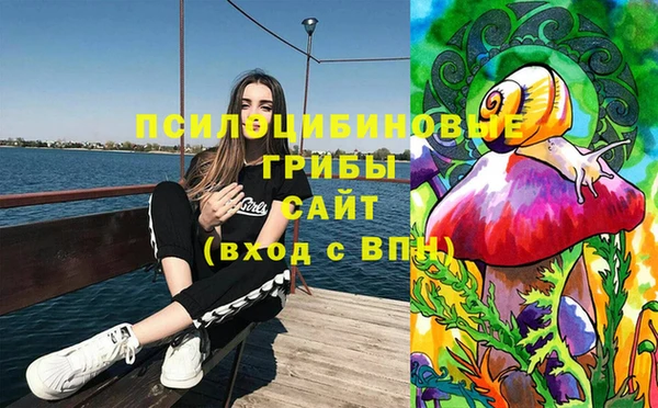 спиды Магас
