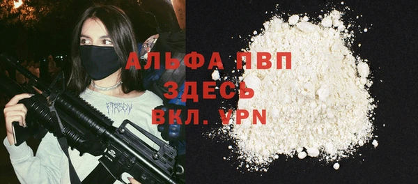 спиды Магас