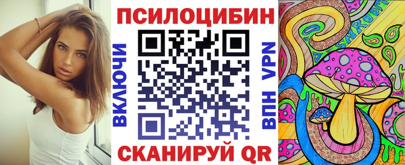 Купить  Дыгулыбгей  Галлюциногенные грибы Magic Shrooms 